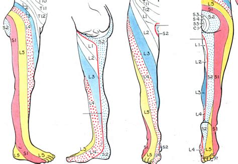 s1 nerve root compression test|l5 s1 symptoms nerve impingement.